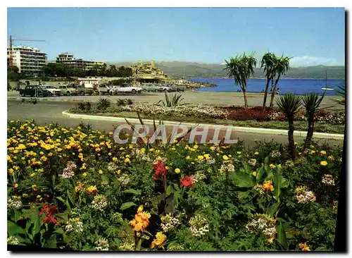 Cartes postales moderne La Cote d'Azur Antibes l'Ilette au fond les Remparts et la Chaine des Alpes