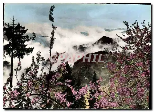 Cartes postales moderne Printemps a Peira Cava A M Mer de nuages vue prise du Grand Hotel