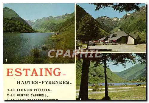 Moderne Karte Collection d'Art Pyreneen Les Pyrenees Lac d'Estaing le lac et le Centre d'accueil