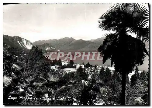 Cartes postales moderne Lago Maggiore Stresa et Ile Bella