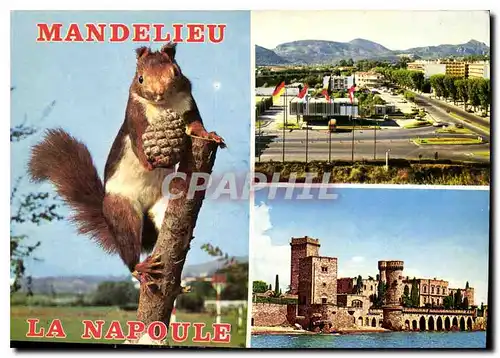 Cartes postales moderne Cote d'Azur Mandelieu la Napoule Entree de l'Autoroute Chateau de la Napoule