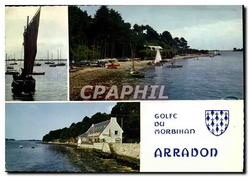 Cartes postales moderne La Bretagne en Couleurs Arradon Morbihan la plage et le centre nautique un sinago et le restaura