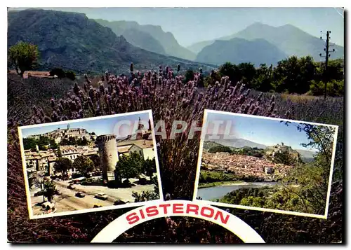 Cartes postales moderne Alpes de Haute Provence Au Pays de la lavande Sisteron