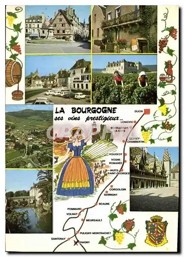 Cartes postales moderne la Bourgogne ses vins prestigieux