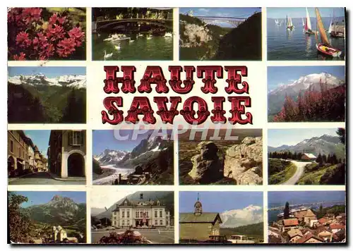 Cartes postales moderne Promenade dans le departement de la Haute Savoie rhododendrons Annecy Ponts de la Caille Regates