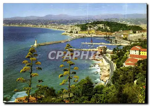 Cartes postales moderne La Cote d'Azur Nice Vue generale