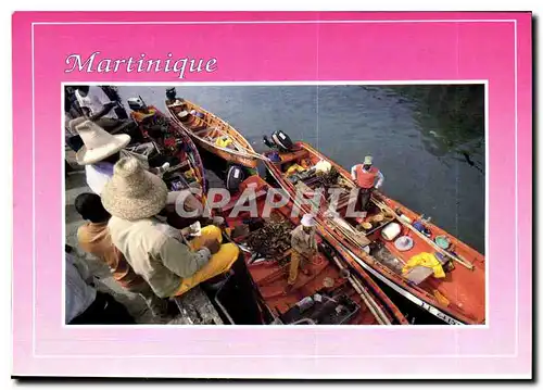 Cartes postales moderne Martinique Antilles