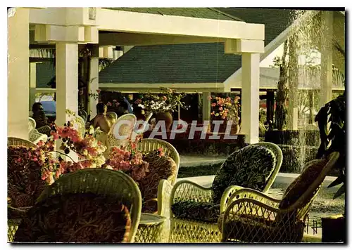 Cartes postales moderne Clu Mediterranee Village Les Boucaniers Martinique Antilles