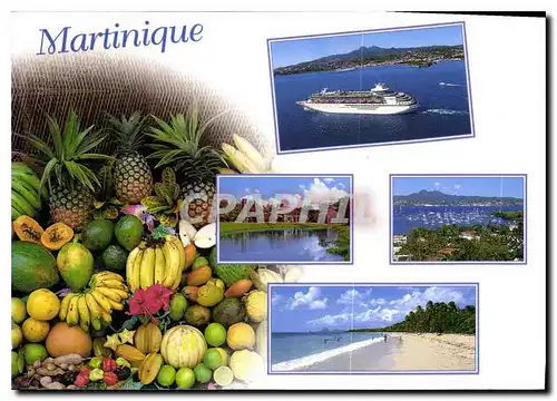 Moderne Karte Martinique