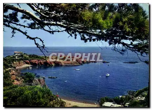 Cartes postales moderne Reflets de la Cote d'Azur Sur la Corniche d'Or un coin ideal