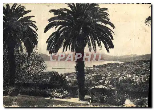 Cartes postales moderne La Cote d'Azur Cannes