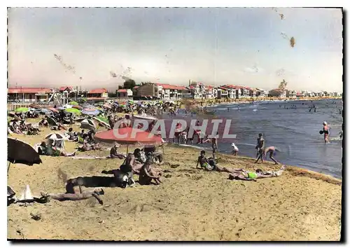 Cartes postales moderne Palavas les Flots Herault Plage Rive Gauche Chalet