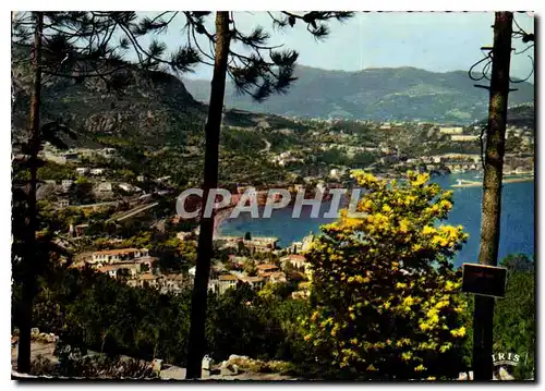 Cartes postales moderne Reflets de la Cote d'Azur Vue sur Theoule et La Napoule A Mmes