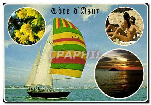Cartes postales moderne Au soleil de la Cote d'Azur le Paradis Mediterraneen