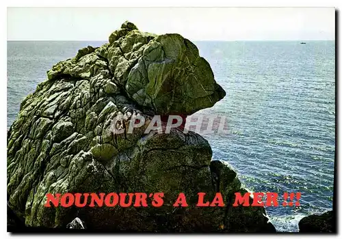 Cartes postales moderne Nounour's a la Mer