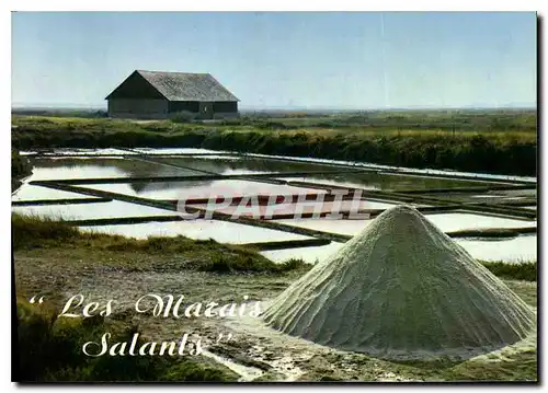 Moderne Karte En pays Guerandais les marais salants au crepuscule le Mouion