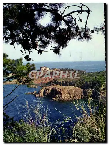 Cartes postales moderne Reflets de la Cote d'Azur sur les bords de la Corniche d'Or