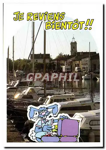 Cartes postales moderne Marseillan Village le Port