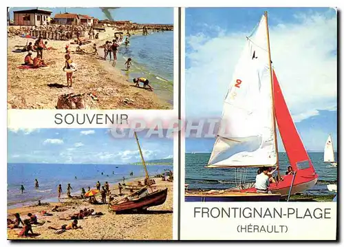 Cartes postales moderne Frontignan Plage Herault les belles plages de la Mediterranee les joies de la mer et plaisirs de