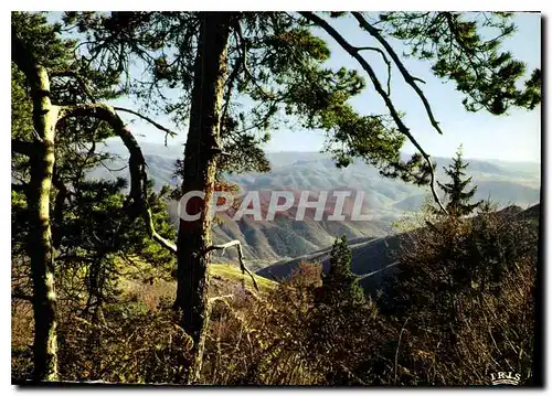 Moderne Karte Paysage des Cevennes en Automne