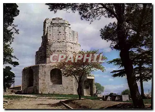 Cartes postales moderne La Rome Francaise Nimes Jardin de la Fontaine la Tour Magne le plus ancien monument de France