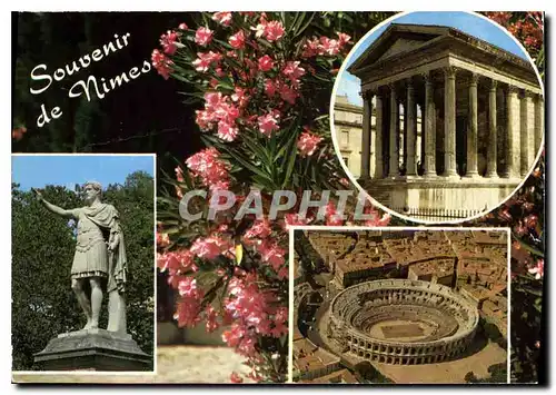 Cartes postales moderne Reflets de Provence Nimes B du R