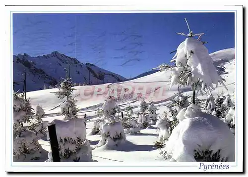 Cartes postales moderne Les Pyrenees Feerie de l'Hiver