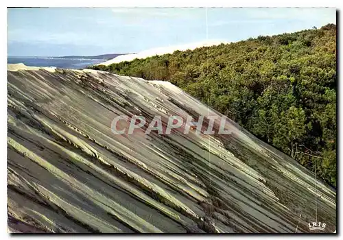 Moderne Karte Bassin d'Arcachon Ay Pyla les Dunes les plus hautes d'Europe