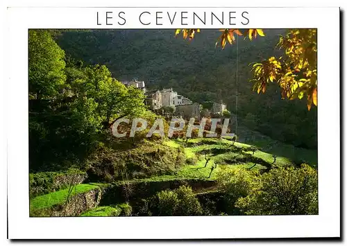 Moderne Karte Paysages des Cevennes Hameau Cevenol avec les Bancels culture en etage