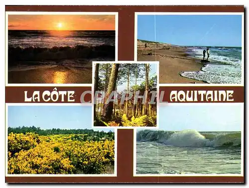 Cartes postales moderne La Cote Aquitaine