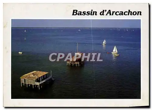 Cartes postales moderne Bassin d'Arcachon Gironde Les cabanes sur pilotis de l'Ille aux Oiseaux au milieux du bassin