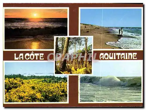 Cartes postales moderne La Cote Aquitaine