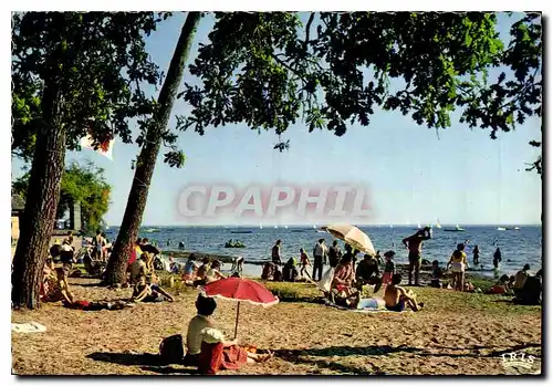 Cartes postales moderne Bassin d'Arcachon Andernos les Bains Plage du Betey