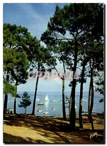 Moderne Karte Bassin d'Arcachon Gironde Une tres belle echappee sur le Bassin