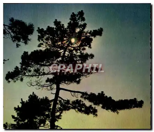 Cartes postales moderne Bassin d'Arcachon La Lune sartant des nuages noirs