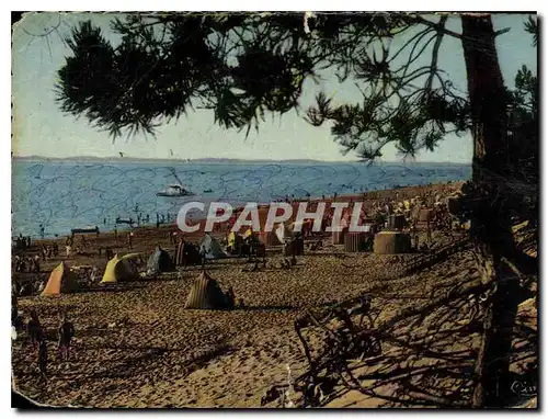 Cartes postales moderne Environs de Arcachon Le Moulleau Gironde Plade des Abatilles
