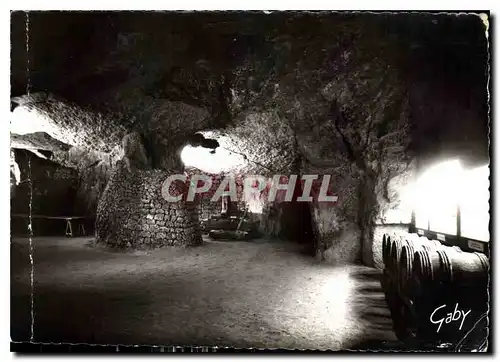 Cartes postales moderne Bourgueil La cave touriste