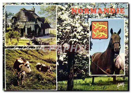 Cartes postales moderne Couleurs et Lumiere de France La Luxuriante Normandie