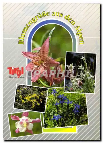 Cartes postales moderne Sommer Freizeit Erelebnis