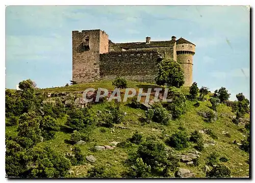 Cartes postales moderne Aujac Le Chateau faodal du Cheylard XIIe s