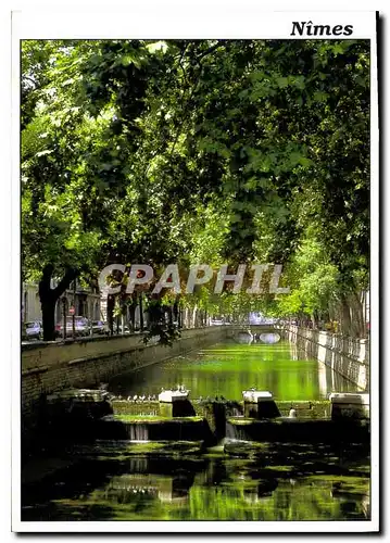 Cartes postales moderne Nimes Gard Quais de la Fontaine