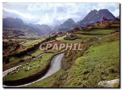 Cartes postales moderne Nos Belles Pyrenees Moutons dans les lacets du Col d'Aspin