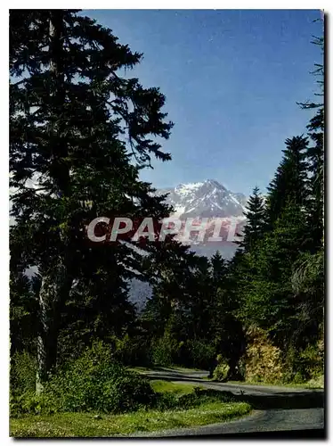 Cartes postales moderne La Route des Pyrenees dans le Col d'Aspin