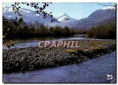 Cartes postales moderne Nos Belles Pyrenees Le Gave de Pau dans la Vallee d'Argeles Gazost