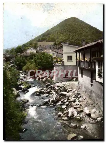 Cartes postales moderne Mauleon Barousse Htes Pyrenees L'Ourse