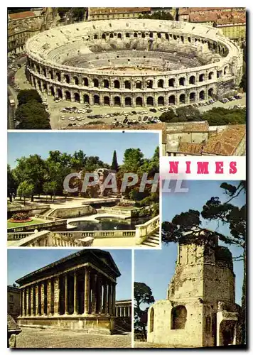 Cartes postales moderne Reflets de Provence Nimes Gard