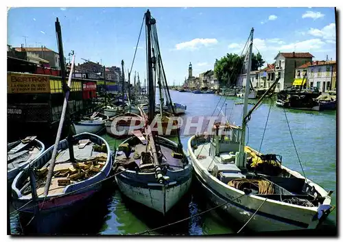 Cartes postales moderne Le Grau du Roi Gard Porte de la Cemargue Le Canal