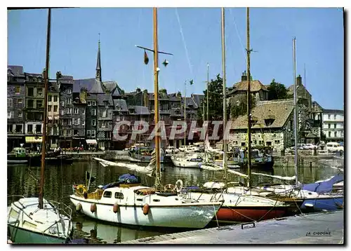 Cartes postales moderne Normandie France Honfleur La Lieutenance et le Bassin