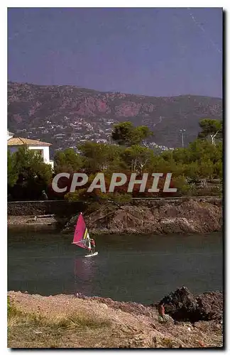 Cartes postales moderne Esterel Planche a voile