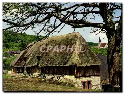 Moderne Karte La Normandie Pittoresque Chaumiere du Pays d'Auge